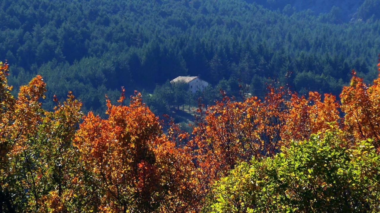 Casa Rural Cal Rossa De Taus Spa Екстер'єр фото